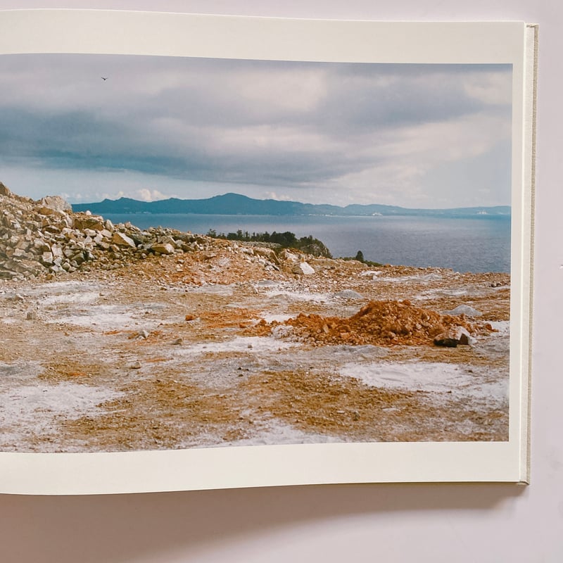 A BIRD Blast #130 | BOOKNERD