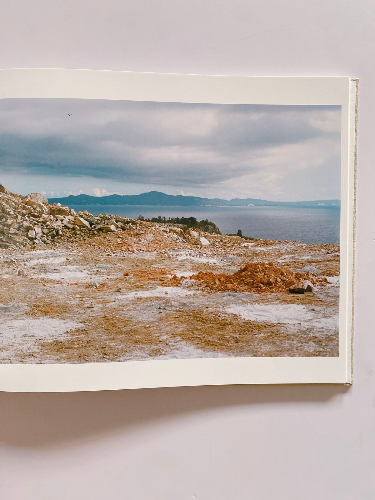 A BIRD Blast #130 | BOOKNERD