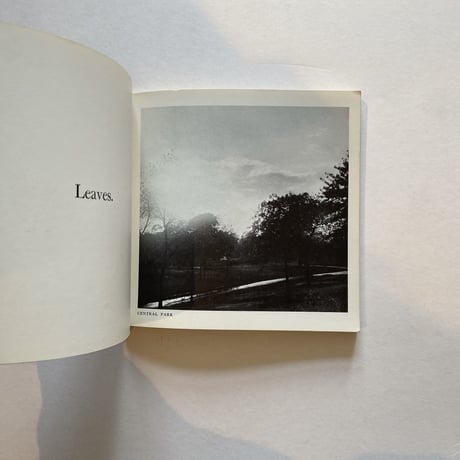 Words & Photographs