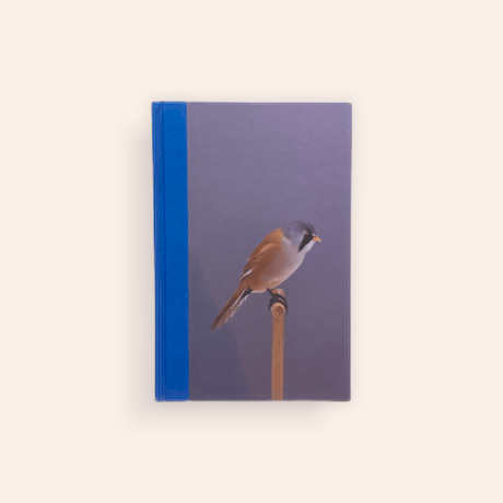 An Incomplete Dictionary of Show Birds