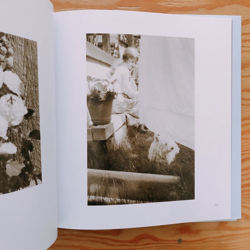 ROBERT ADAMS HEAR THE LEAVES AND LOVE THE LIG