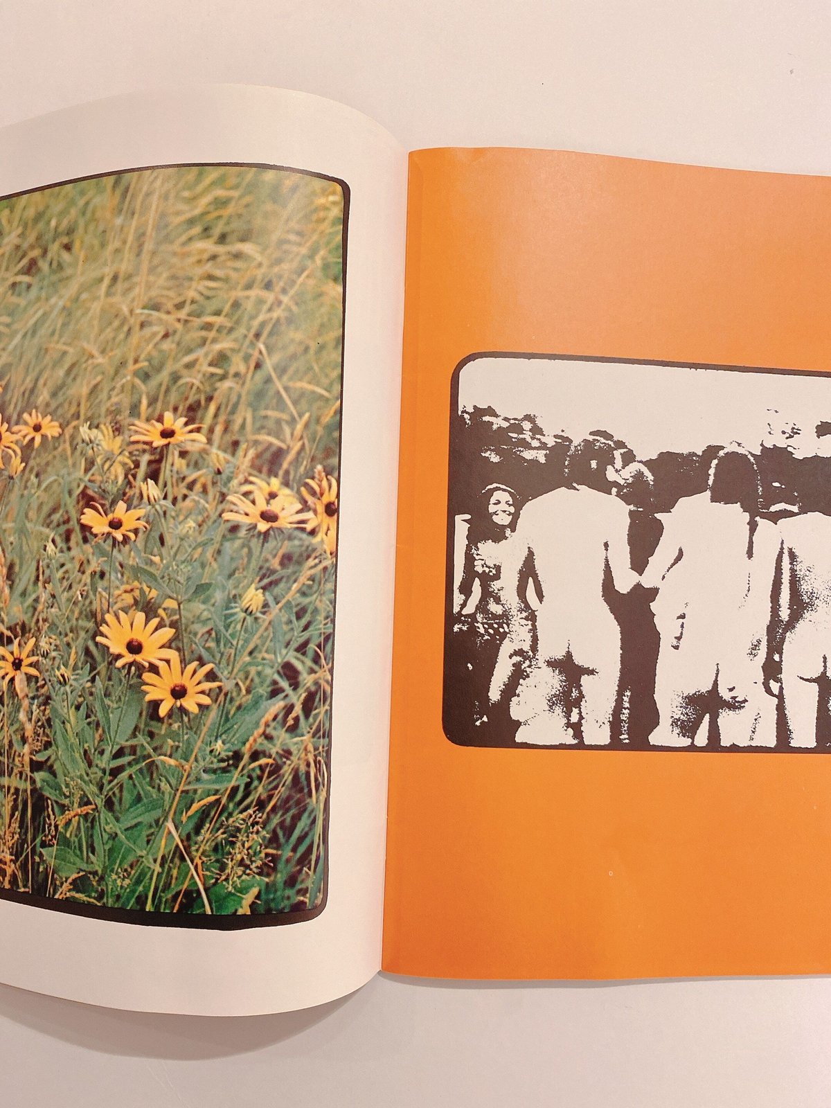 3 Days of Peace & Music Woodstock a Film by Mic