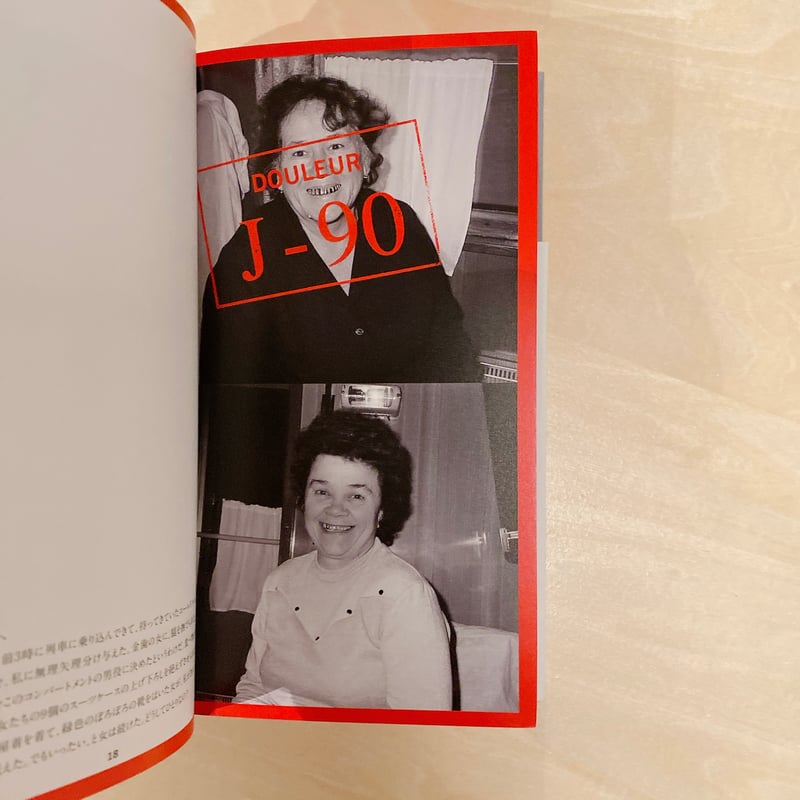 ソフィ・カル作品集 『限局性激痛』 原美術館制作による邦訳冊子付き 限局性激痛 - 平凡社