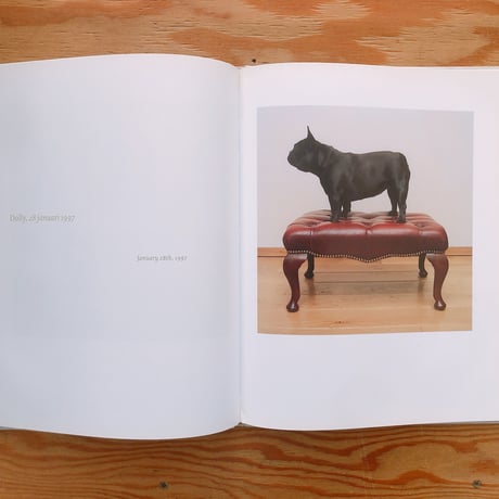 Maarten Wetsema   Hond Dog