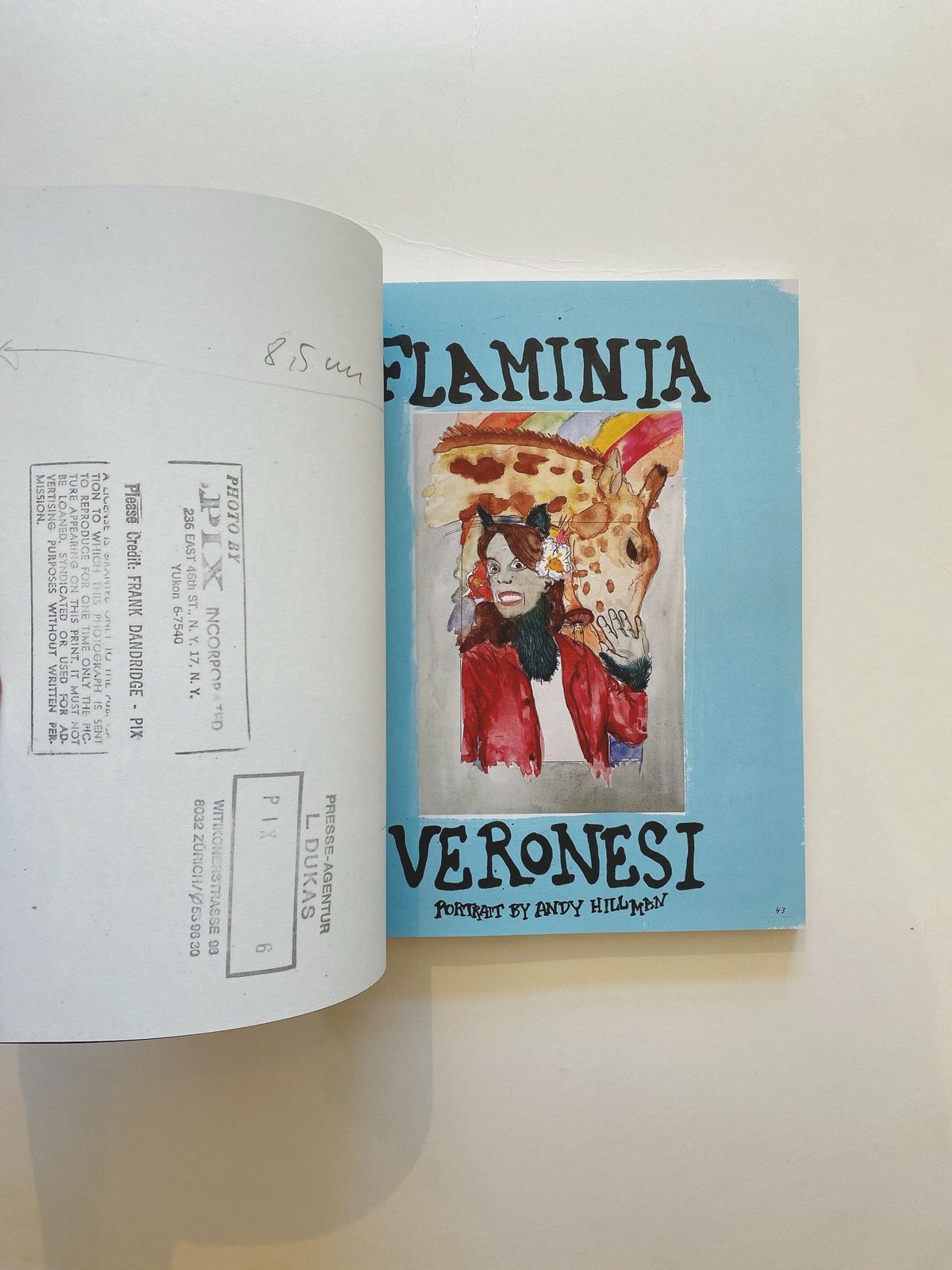 A MAGAZINE CURATED BY FRANCESCO RISSO | BOOKNERD