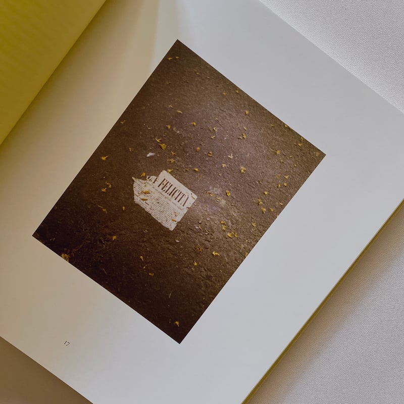 【未開封】LUIGI GHIRRI FELICITÀ LUIGI GHIRRI FELICITÀ by Alessio Bolzoni, Luca Guadagnino