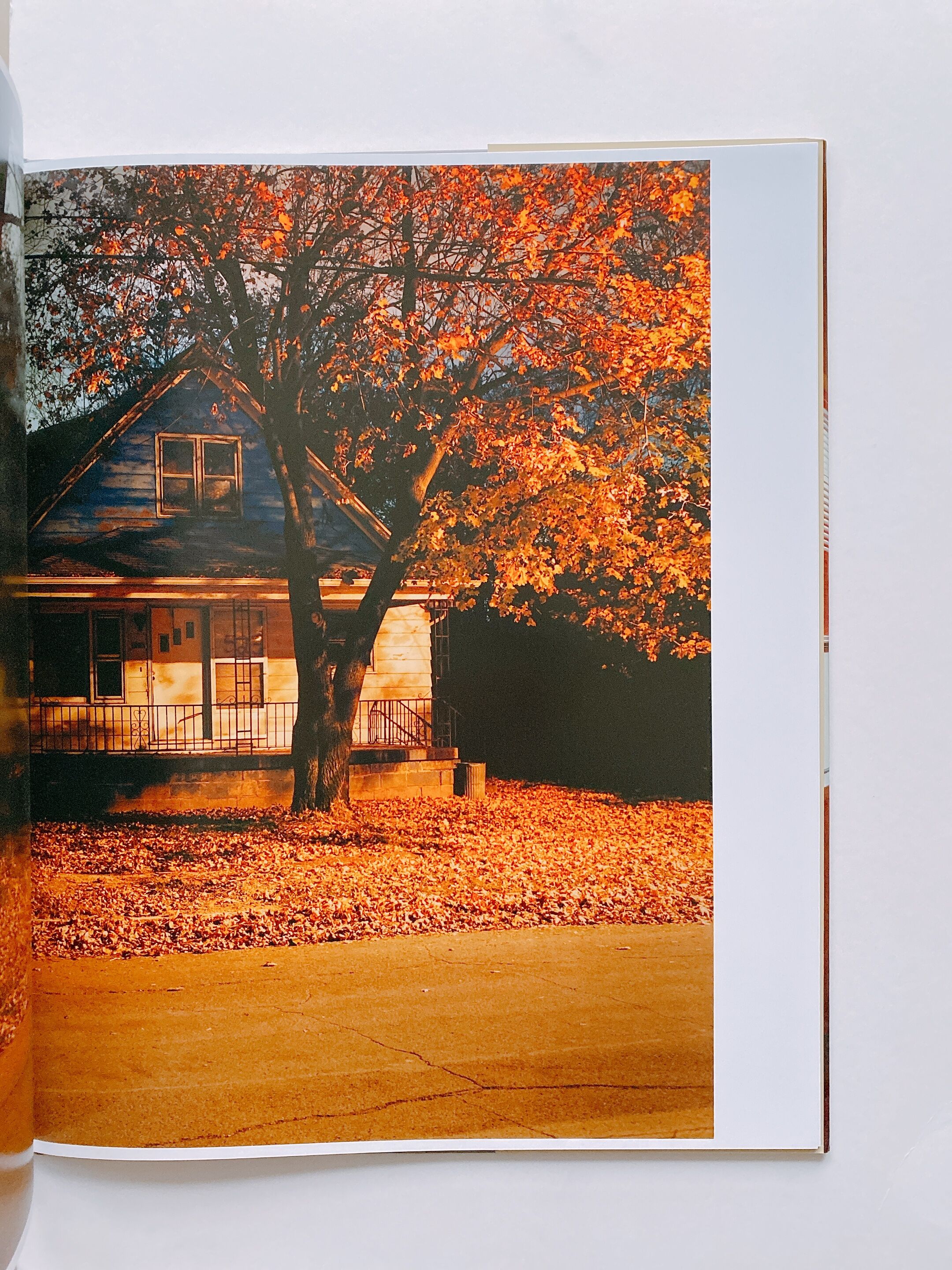 【希少】HOUSE HUNTING:Todd Hido/トッド・ハイド 写真集 HOUSE HUNTING by Todd Hido | BOOKNERD