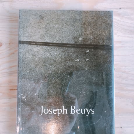 JOSEPH BEUYS    CAROLINE TISDALL