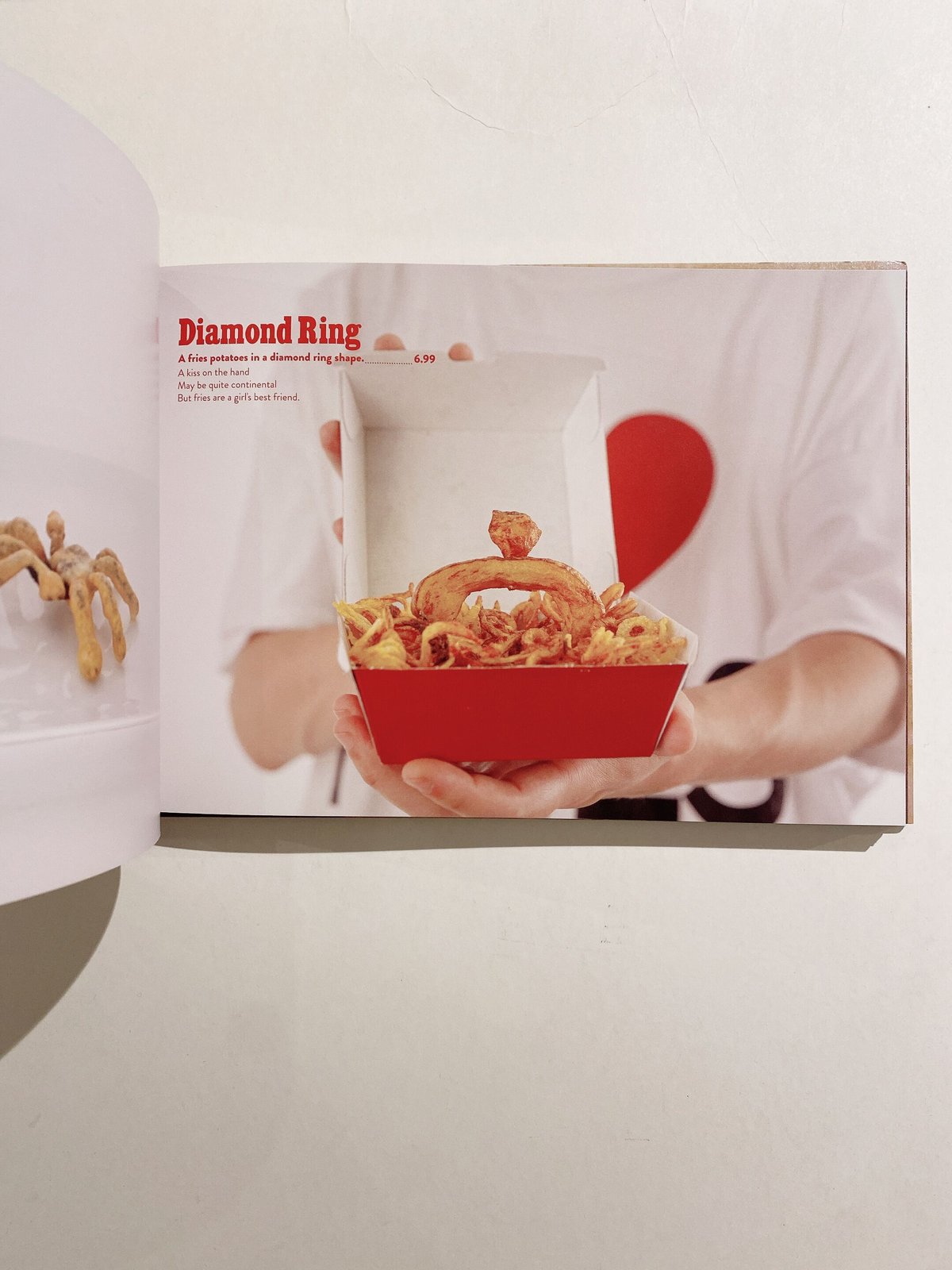 FRIES BOOK | BOOKNERD