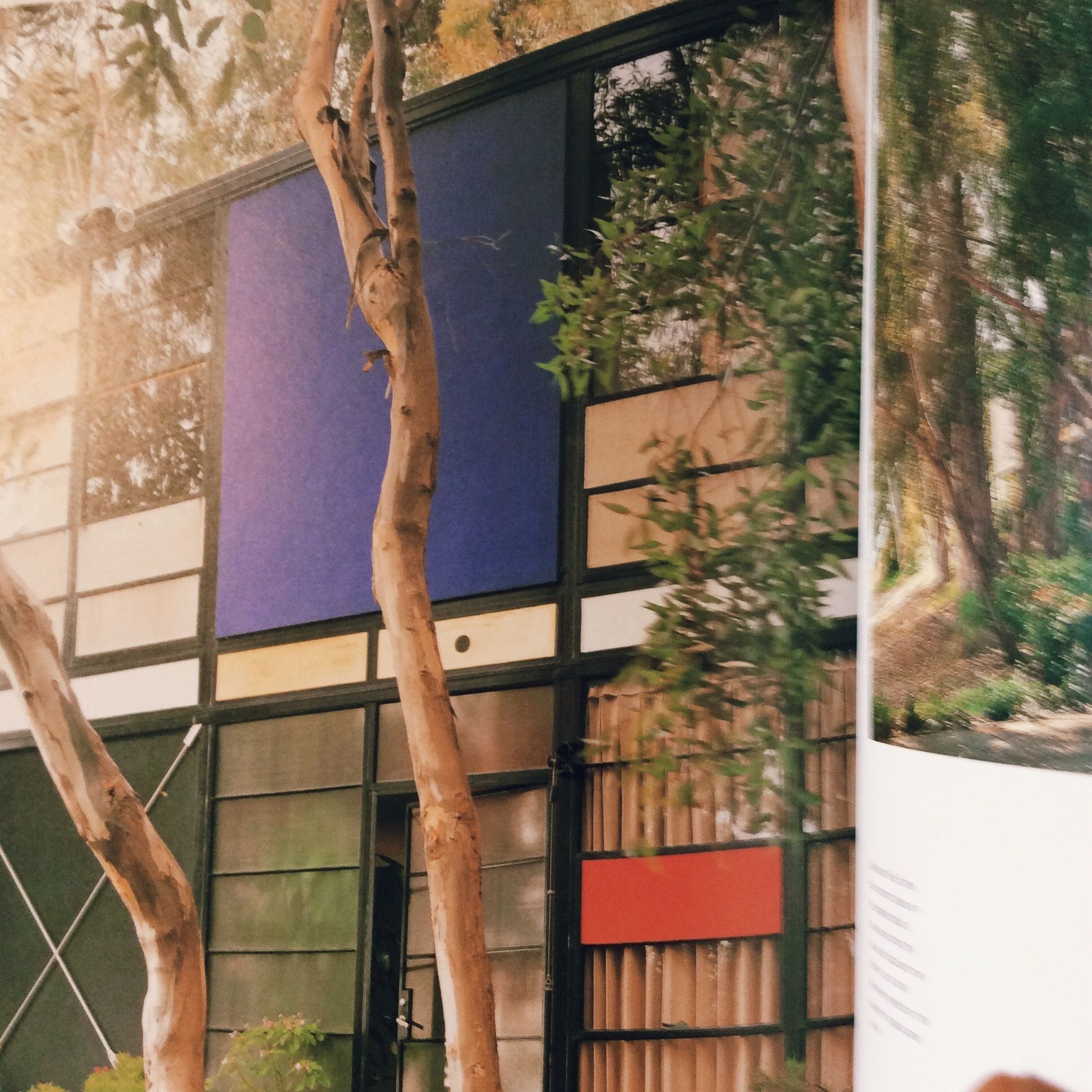 EAMES HOUSE JAMES STEELE | BOOKNERD
