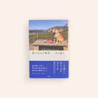 アメリカ地獄めぐり 寺山修司『評論』集 寺山修司 | BOOKNERD