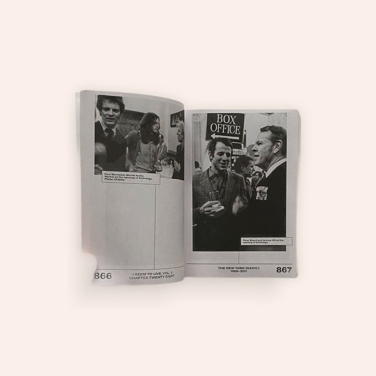 I SEEM TO LIVE - The New York Diaries. vol. 2,