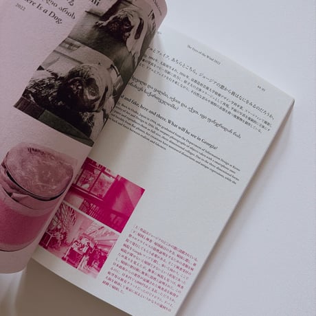 風の目たち  The Eyes of the Wind Pocket Tour Book 2022―2024