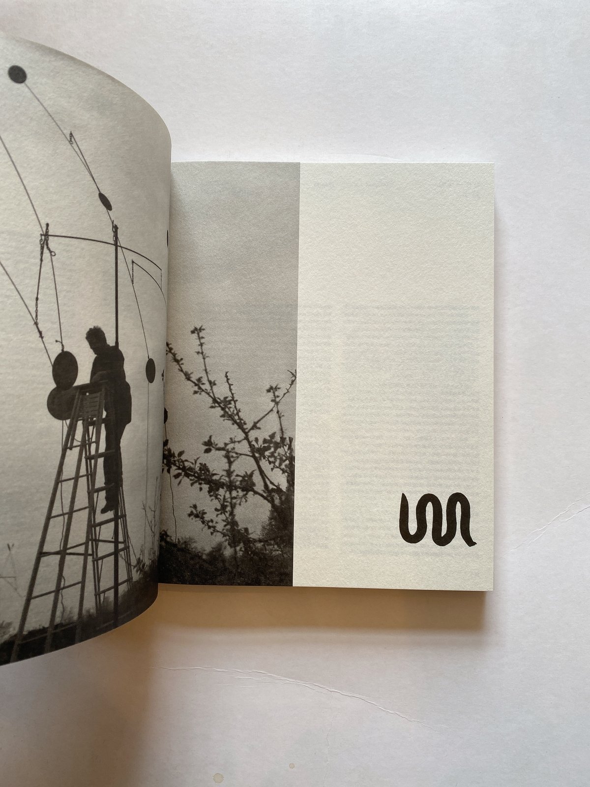 Calder 作品集 CALDER: UN EFFET DU JAPONAIS | BOOKNERD