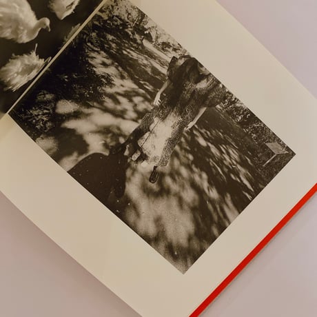 COINCIDENCE by Jeremy Liebman