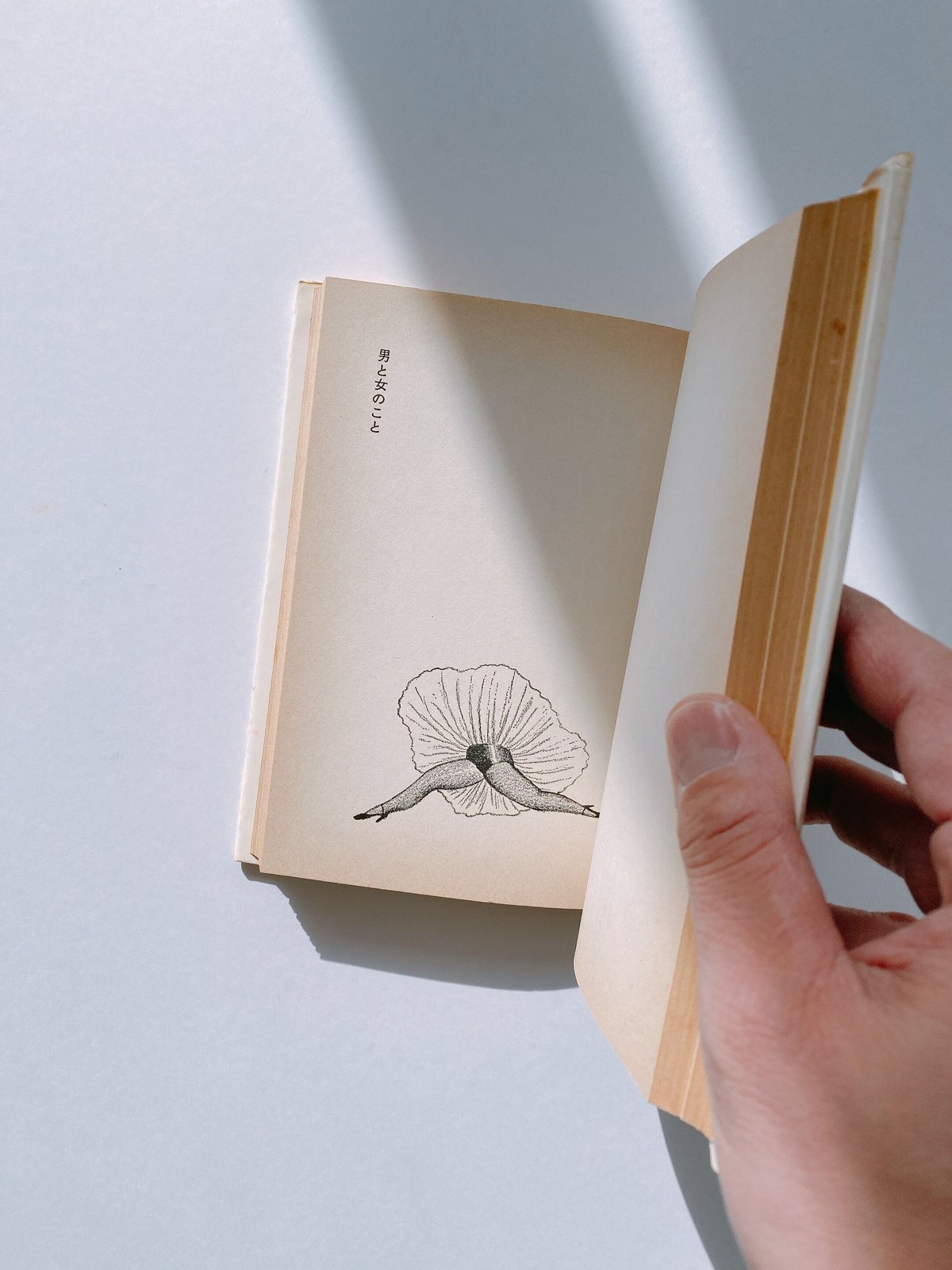 みなみの三十歳宣言 | BOOKNERD みなみの三十歳宣言 | BOOKNERD