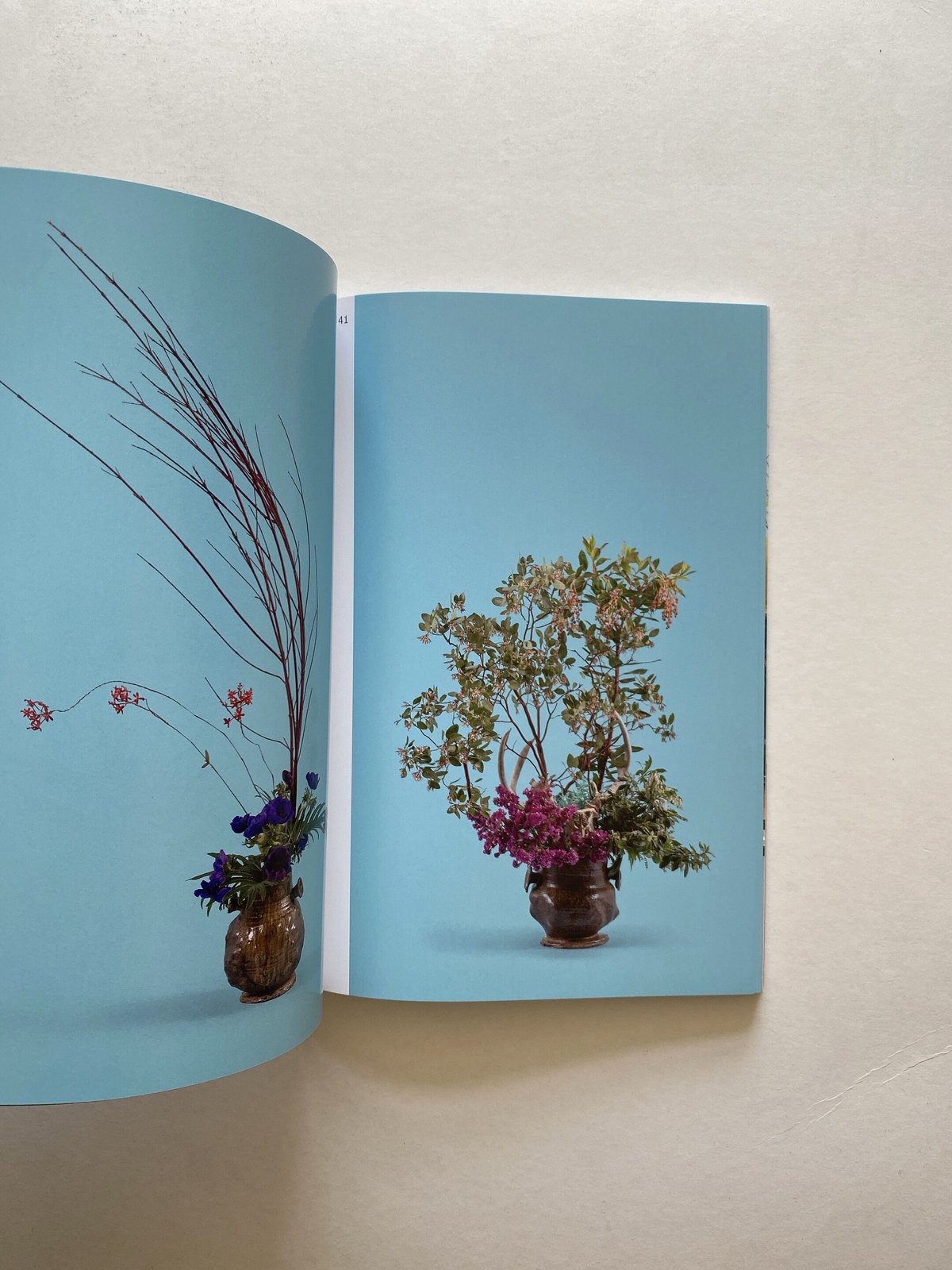 Common Ground Adam Silverman & Sogetsu Ikebana