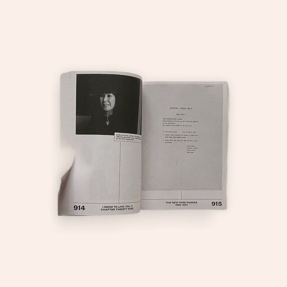 I SEEM TO LIVE - The New York Diaries. vol. 2,