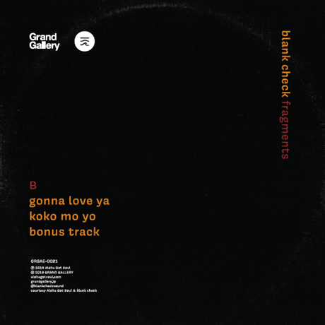 Blank Check_fragments ep(10")