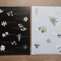 A5クリアファイル「西表島の花々」