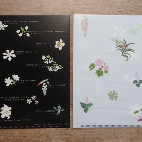 A5クリアファイル「西表島の花々」