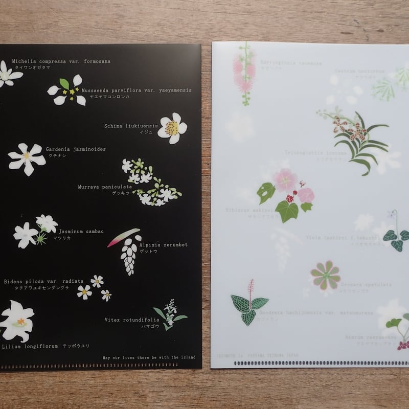 A5クリアファイル「西表島の花々」 | しまのなかまfromIRIOMOTE