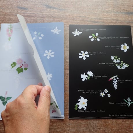 A5クリアファイル「西表島の花々」