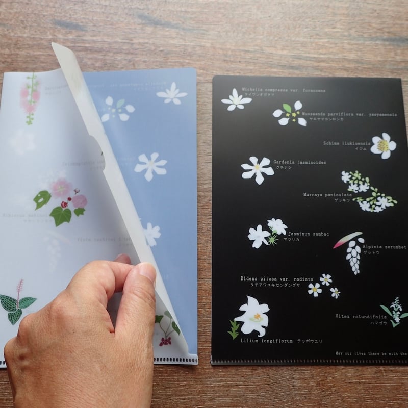 A5クリアファイル「西表島の花々」 | しまのなかまfromIRIOMOTE