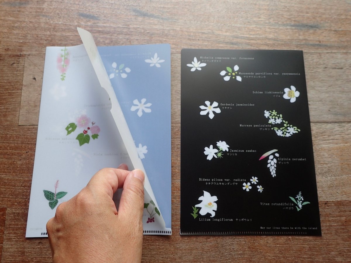 A5クリアファイル「西表島の花々」 | しまのなかまfromIRIOMOTE