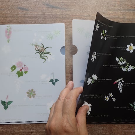 A5クリアファイル「西表島の花々」