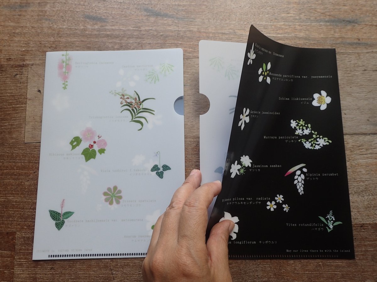 A5クリアファイル「西表島の花々」 | しまのなかまfromIRIOMOTE