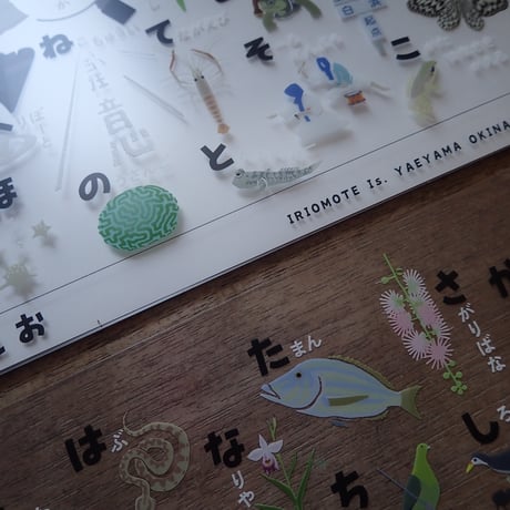 A4クリアファイル「西表島のあいうえお」