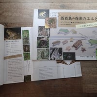 西表島の在来カエル８種　コンプリートおりがみブック（第二版・新種名対応）