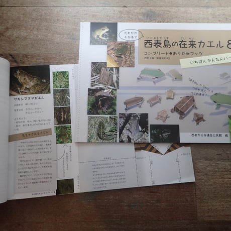 西表島の在来カエル８種　コンプリートおりがみブック（第二版・新種名対応）