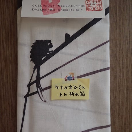 ご家庭用推奨！B反まつり【綿100％てぬぐい編】※随時追加