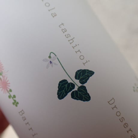 【しまの草花】サーモボトル　200ml　（旧来印刷・現品限り）
