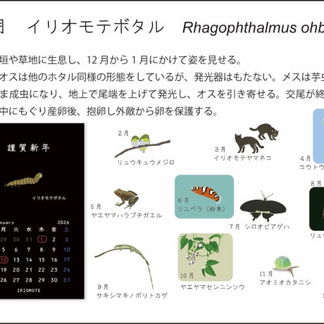 【しまのなかま】自立式極小カレンダー2026