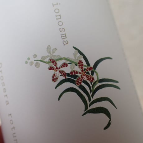 【しまの草花】サーモボトル　200ml　（旧来印刷・現品限り）