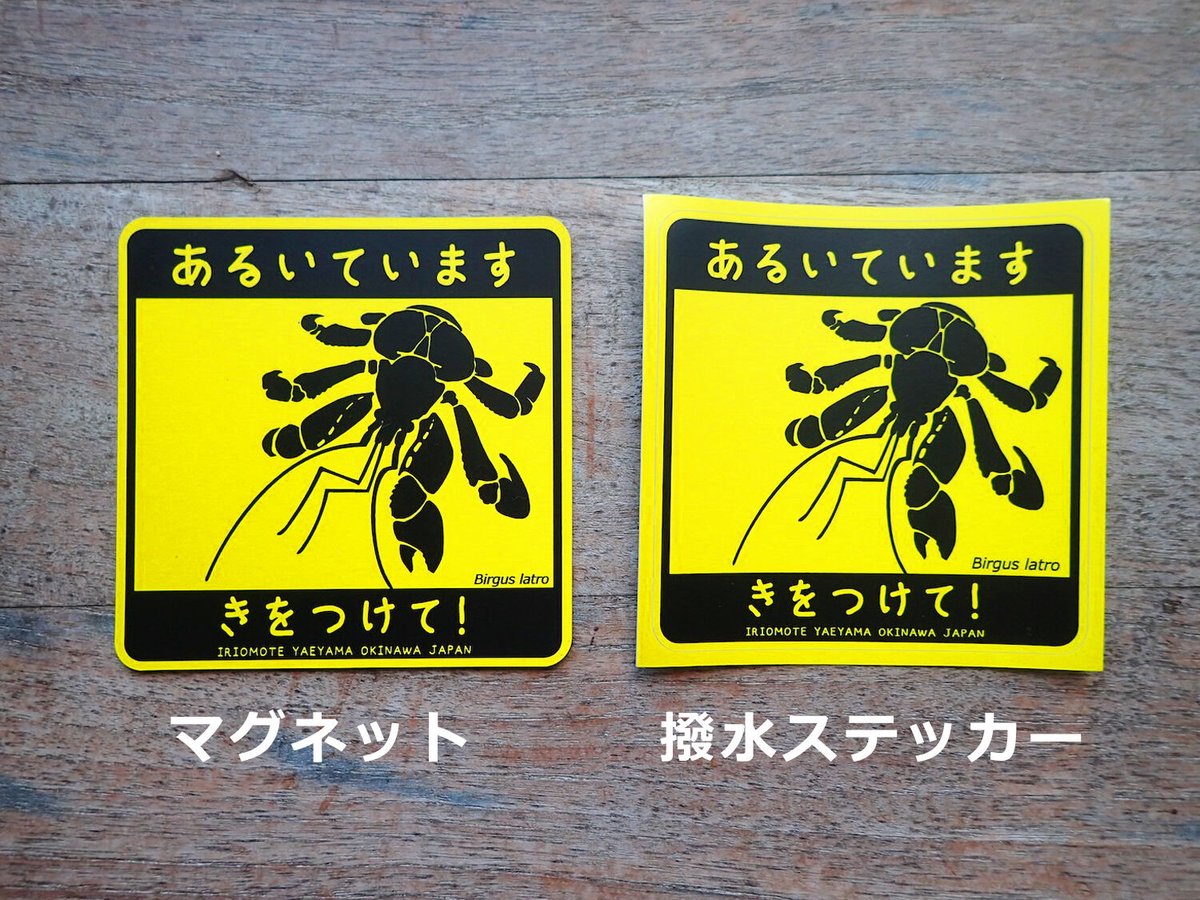 キャッツ☆在庫確認お願いいたします。　　50枚 マグネット／撥水ステッカー「あるいています（ヤシガニ）」 | しまの