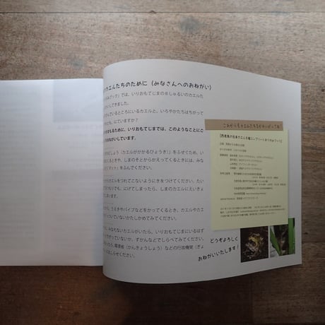 西表島の在来カエル８種　コンプリートおりがみブック（第二版・新種名対応）