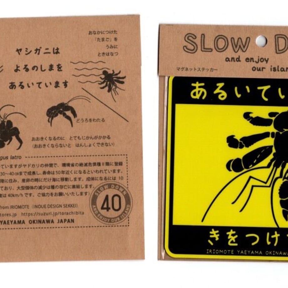 63042e7884bcfd3a28af7b3e