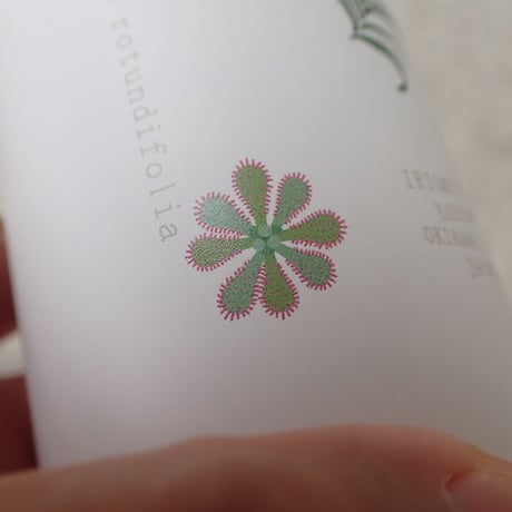 【しまの草花】サーモボトル　200ml　（旧来印刷・現品限り）