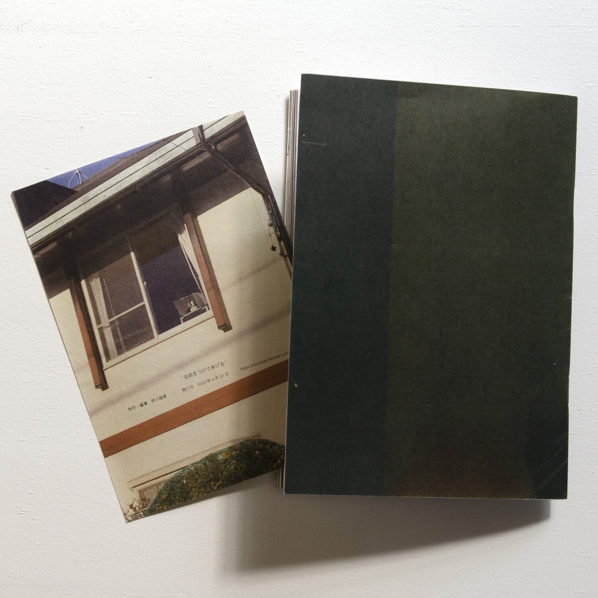 芦川瑞季■「イブツ02」 *2020年Open Letter出品作品 芦川瑞季｜名前をつけてあげる（カットプリント付）/ Mizuki