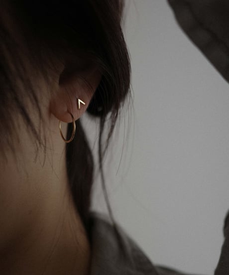 swallow pierce