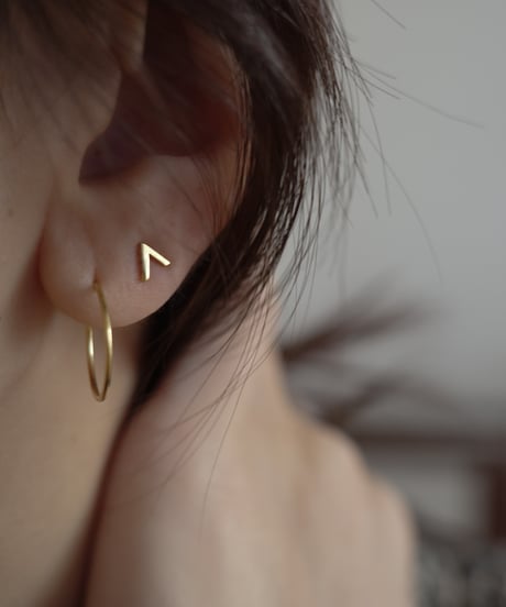 swallow pierce