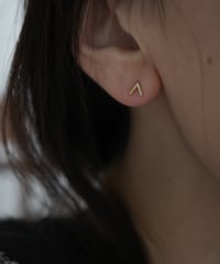 swallow pierce