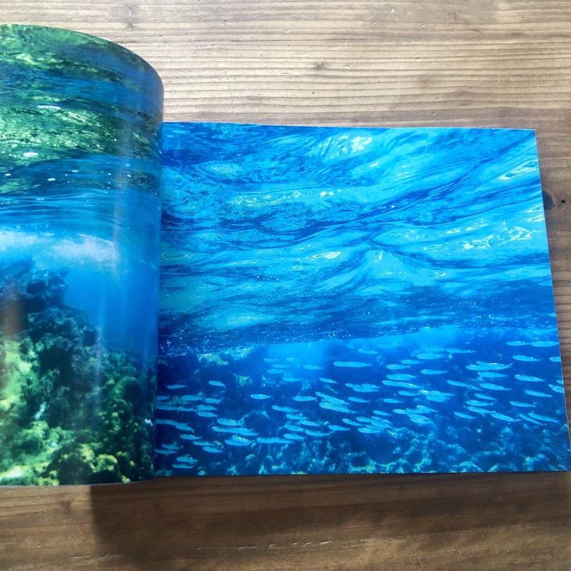 あおあお ／ 藤代冥砂　写真集(サイン入り) 沖縄の本】 藤代冥砂 沖縄風景写真集「あおあお」 | 沖縄のうつわ