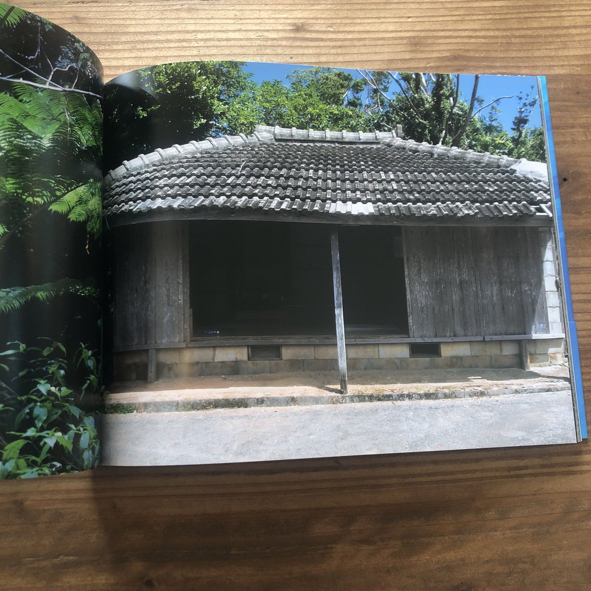 沖縄の本】 藤代冥砂 沖縄風景写真集「あおあお」 | 沖縄のうつわ