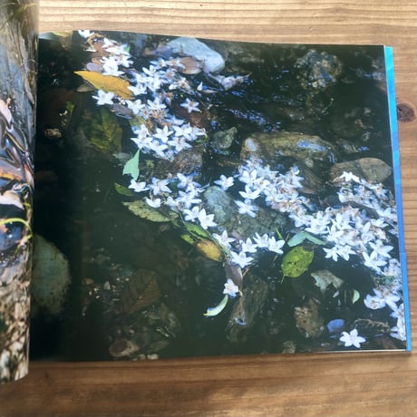 【沖縄の本】　藤代冥砂　沖縄風景写真集「あおあお」