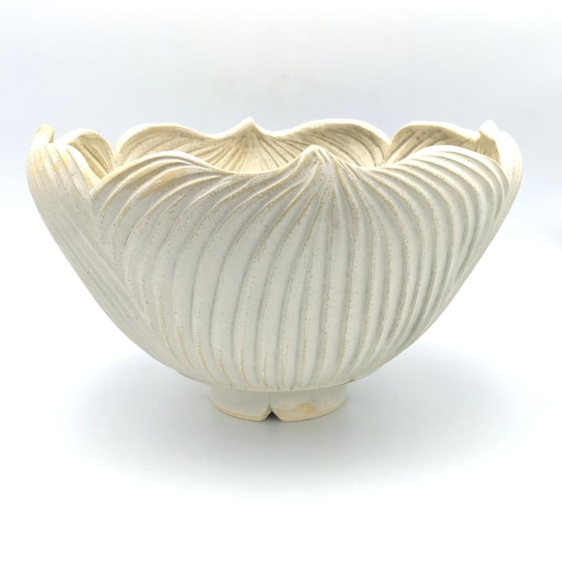 RYUSEN 新里竜子 植物 鉢 植木鉢 植物学 鉢 新里竜子